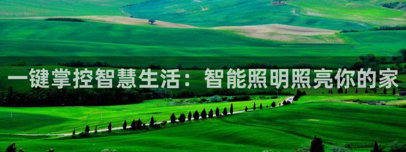 云顶最新