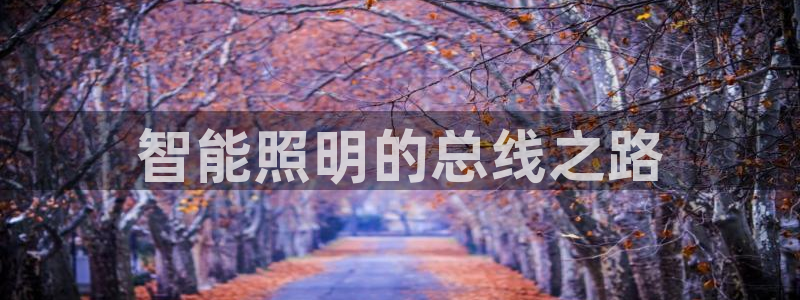 云顶国际提款不到账什么原因