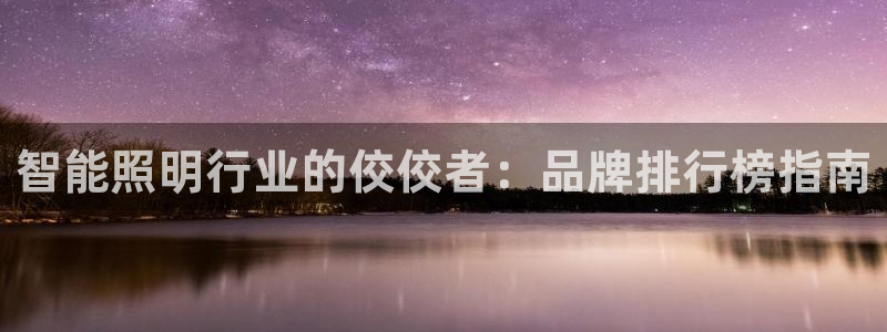 云顶集团有限公司简介资料