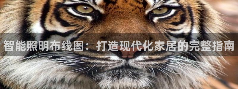 云顶国际在线