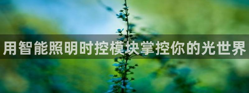 云顶最新线路检测