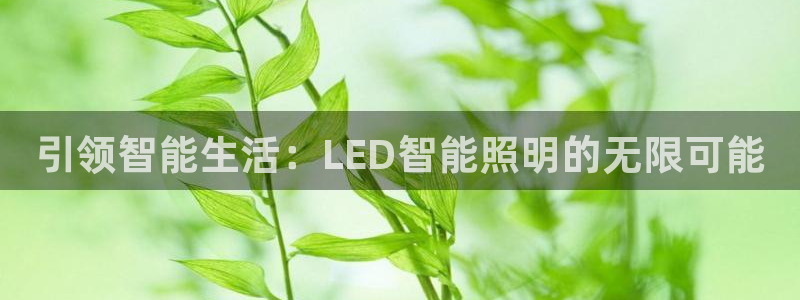 云顶集团公司官网