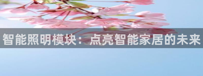 云顶国际电子游戏官网