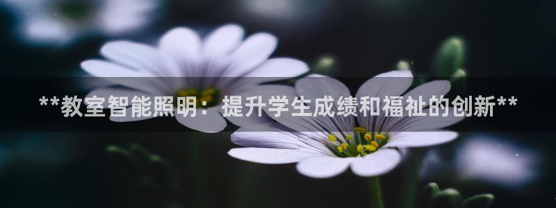 云顶pc