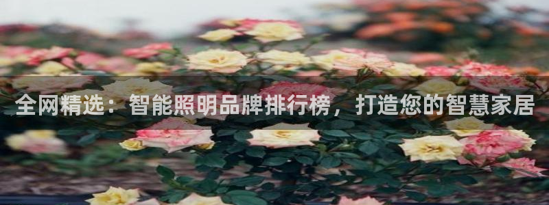 云顶国际是正规平台吗安全吗