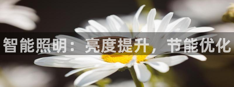 云顶集团最新官方网站入口