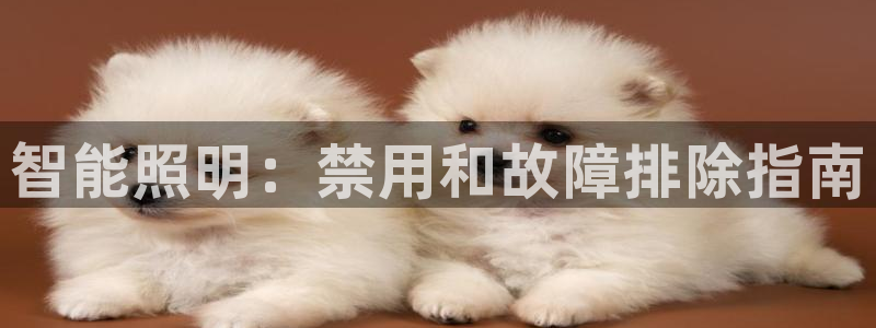云顶集团 中国排名第几