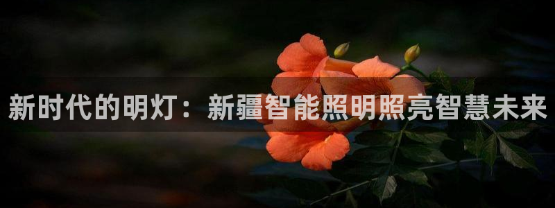 云顶国际怎么才能提现