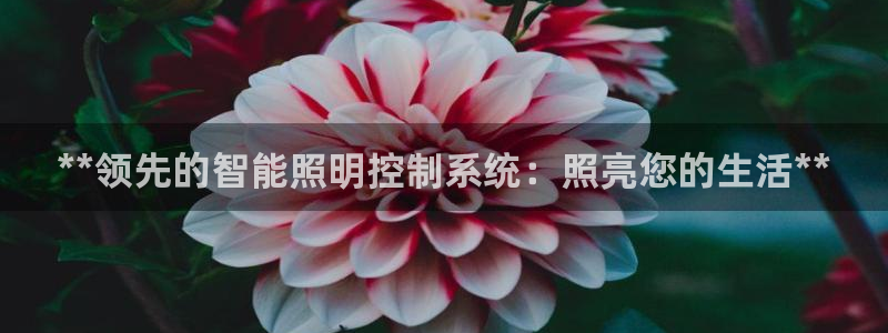 云顶电子游戏网站