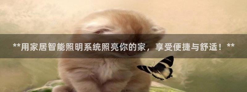云顶手游国际服什么时候更新