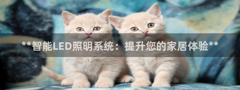 云顶国际老板是谁