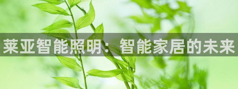 云顶国际服官网