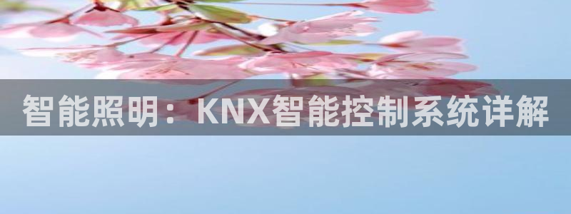 云顶国际服服务端错误