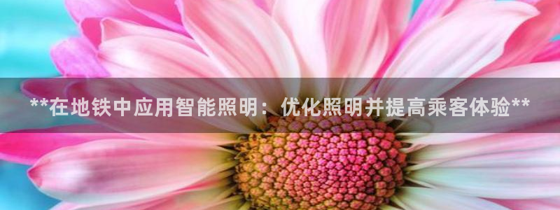 云顶集团游戏app8293