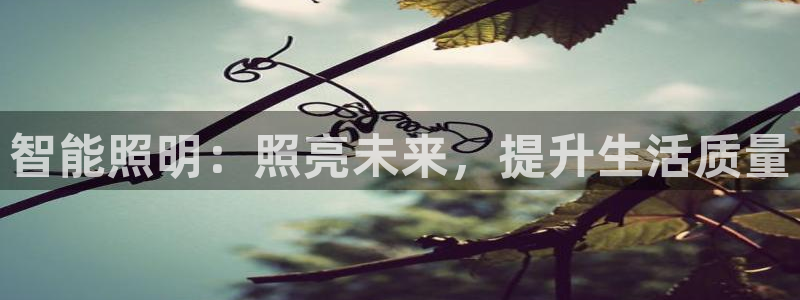 云顶国际公馆二手房出售