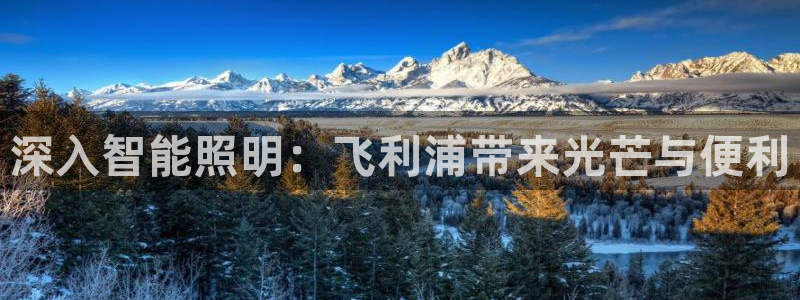 云顶国际游戏平台53m