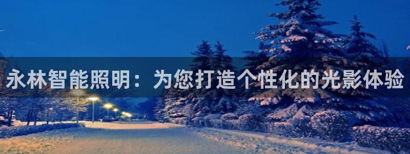 云顶国际投资有限公司怎么样