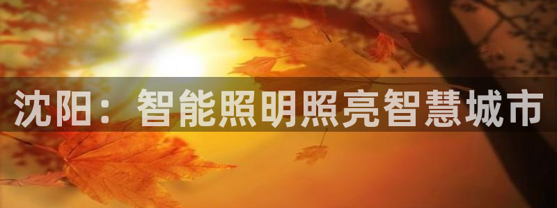 云顶国际集团官网招聘
