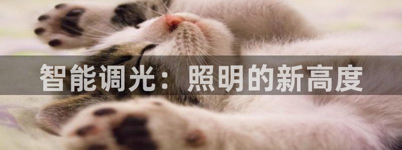 云顶国际平台游戏官网入口
