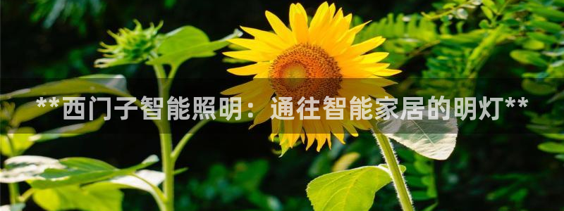 yoga云顶