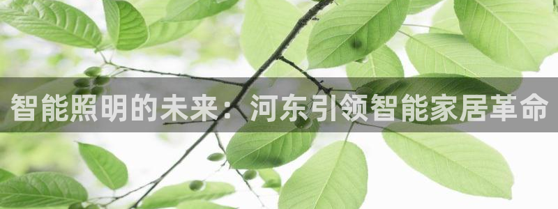云顶国际大厦在哪里