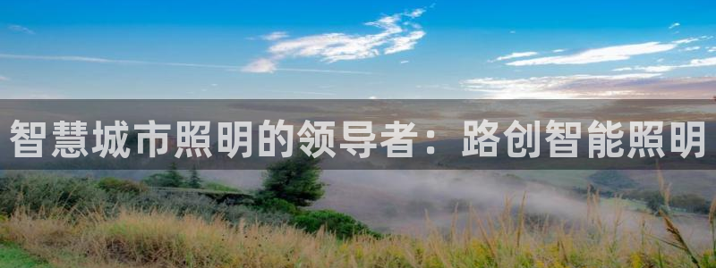 云顶集团王天才简介