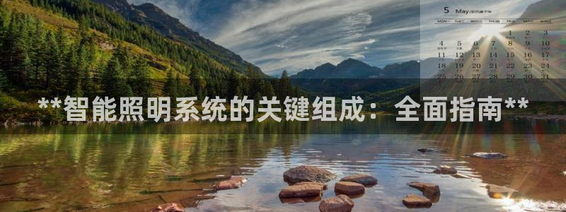 云顶国际服阵容