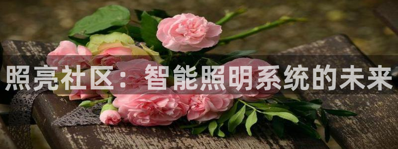云顶国际酒店几星
