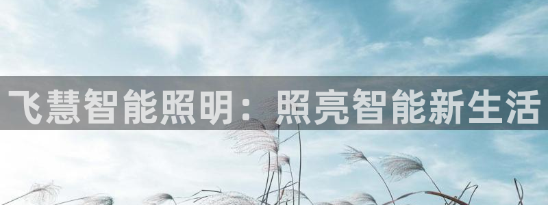 云顶集团网站安全吗知乎