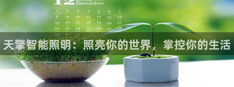 云顶国际是做什么的