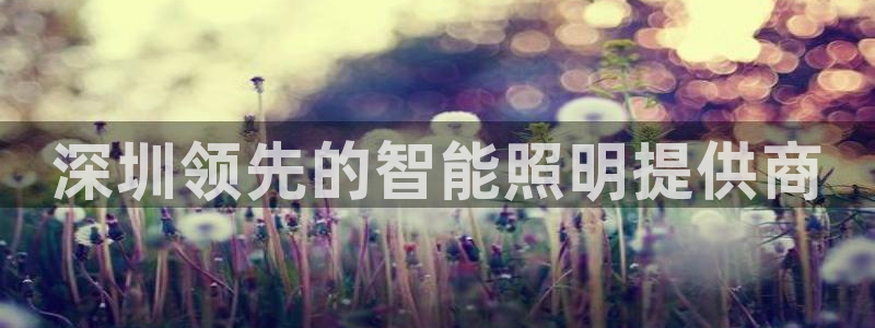 云顶国际高中学费多少钱