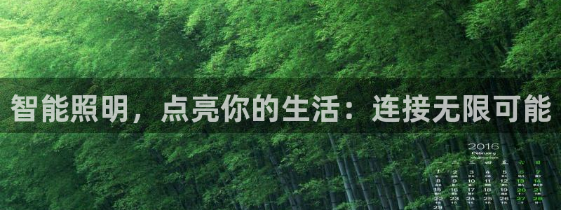 云顶国际晟荣协会荣誉奖项