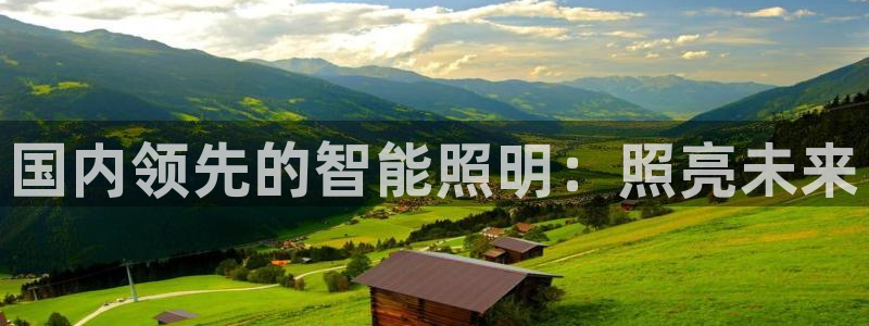 云顶国际平台游戏可靠吗