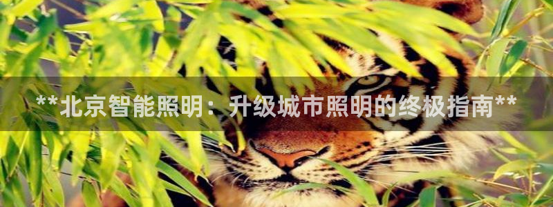 云顶国际有限公司