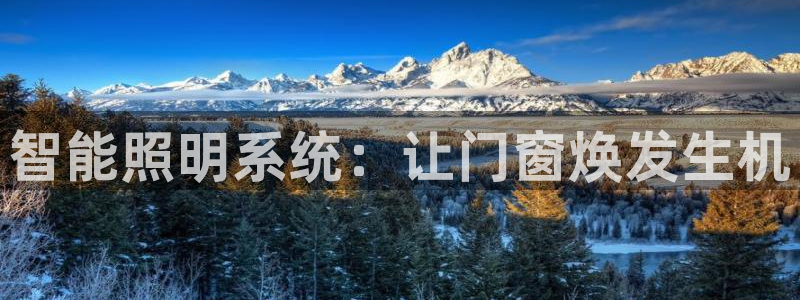 云顶国际服几个月不玩能不能登录