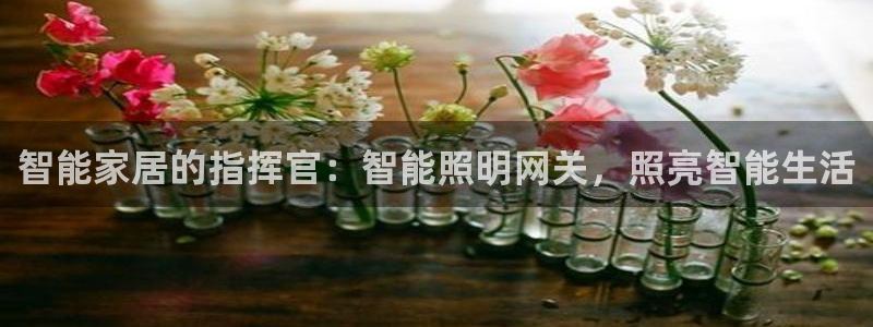 云顶国际电子注册平台