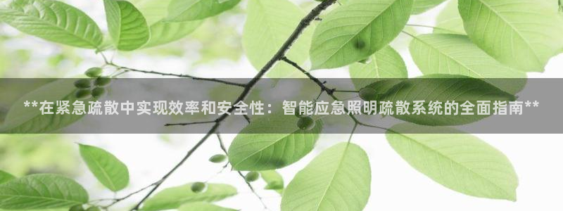 云顶400