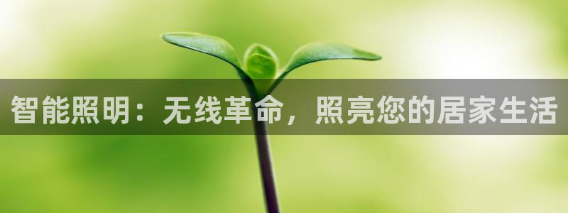 云顶国际下载