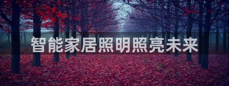 云顶国际是个什么平台