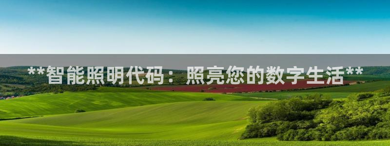 云顶国际是什么公司
