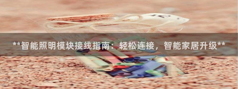 云顶集团董事长林东简历图片