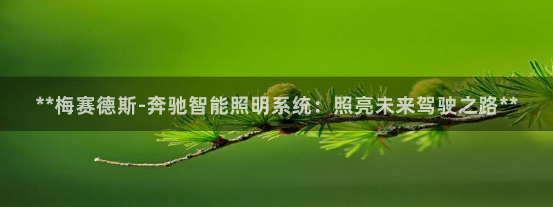 云顶国际服联机