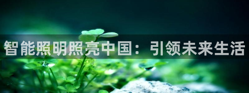 云顶国际服什么时候更新的
