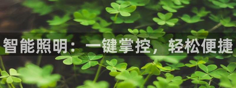 云顶集团招聘