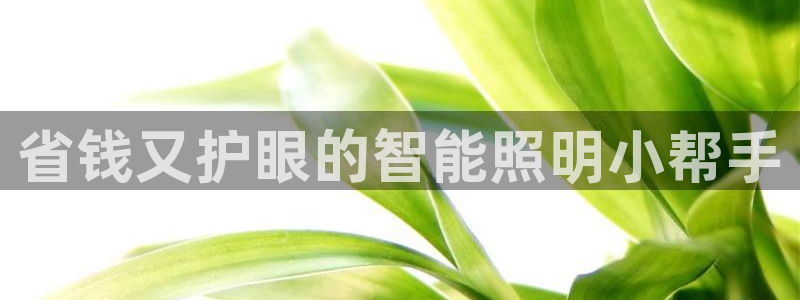 云顶国际取款多久到账啊