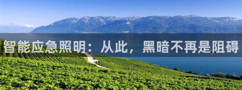 云顶国际yd333