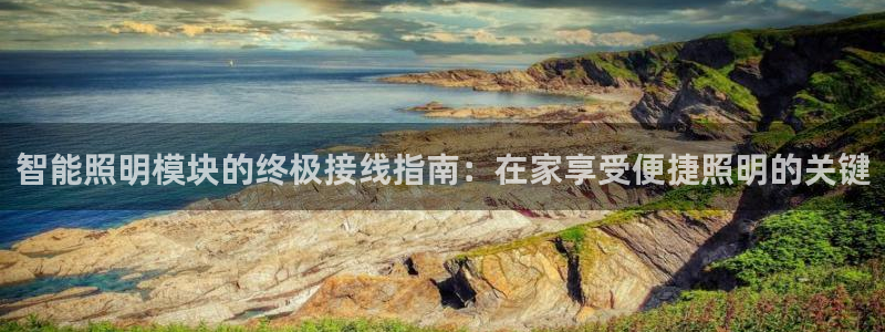 云顶最新