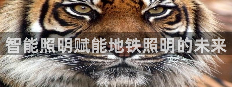 云顶国际投资有限公司