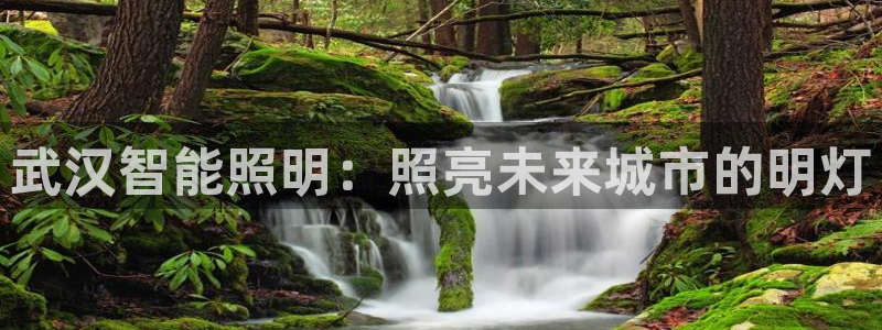 云顶线路快速检测中心