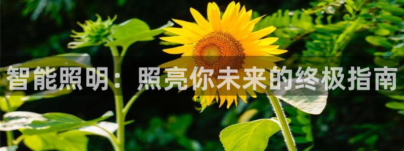 云顶国际中国官方网站入口